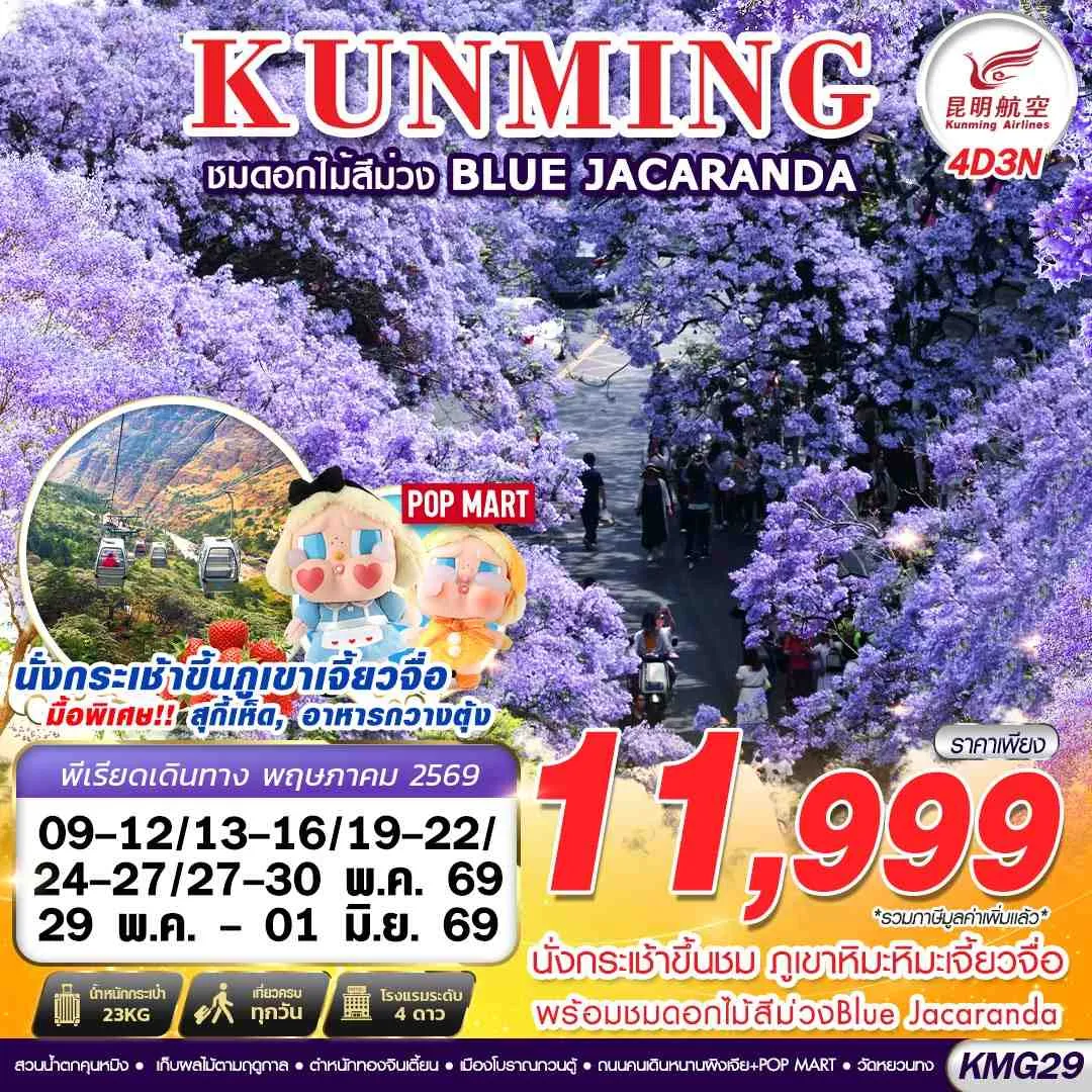 ทัวร์จีน KUNMING ภูเขาหิมะเจี้ยวจื่อ - ดอกไม้สีม่วง Blue Jacaranda 4วัน 3คืน (KY)