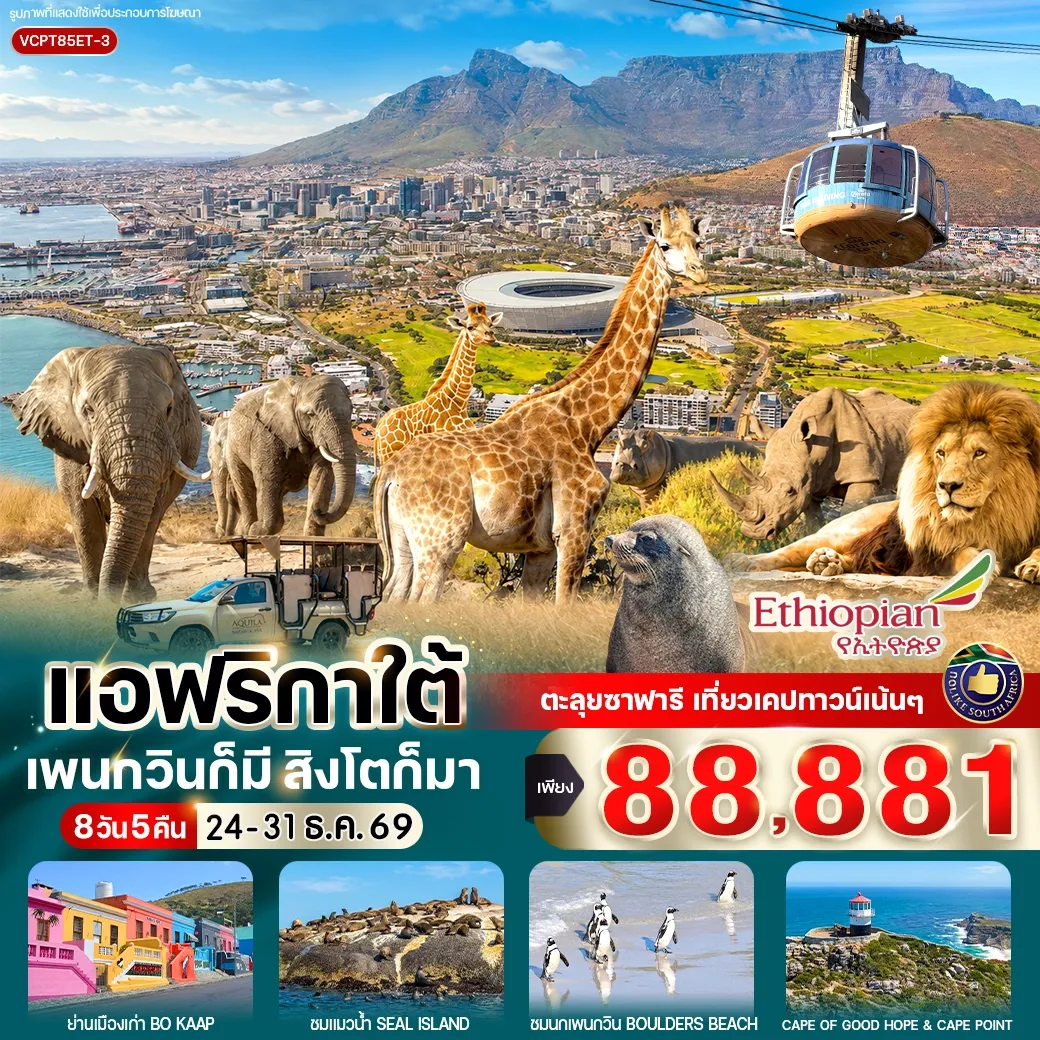 ทัวร์แอฟริกาใต้ แพนกวินก็มี สิงโตก็มา 8วัน 5คืน (ET)